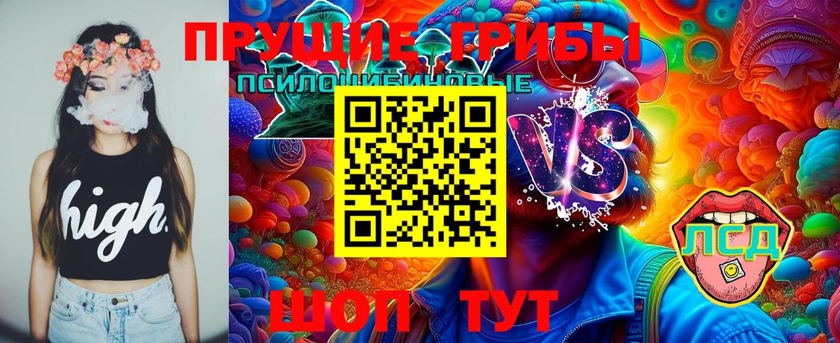 Кизилюрт  Галлюциногенные грибы Psilocybine cubensis  Вход с VPN 