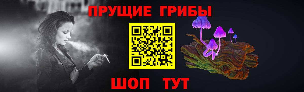 Псилоцибиновые грибы прущие грибы Кизилюрт