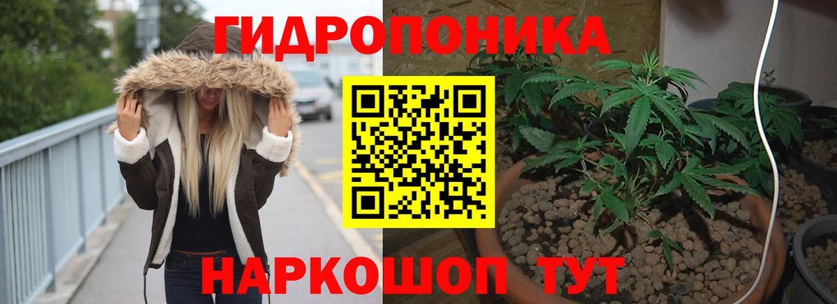Конопля SATIVA & INDICA  Каннабис OG Kush  Кизилюрт  Вход с VPN  Каннабис индика 